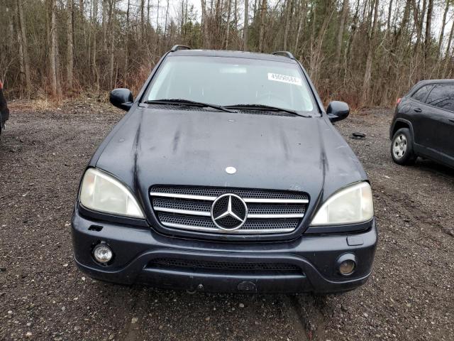 2000 Mercedes-Benz Ml 55 VIN: 4JGAB74E2YA176790 Lot: 49098684