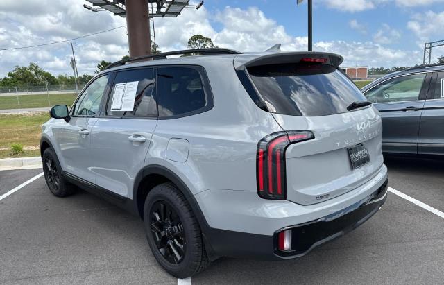 2024 Kia Telluride Sx VIN: 5XYP5DGC9RG422315 Lot: 52900474