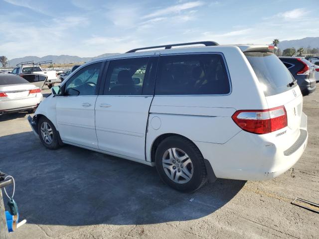 2007 Honda Odyssey Exl VIN: 5FNRL38677B438731 Lot: 43061714