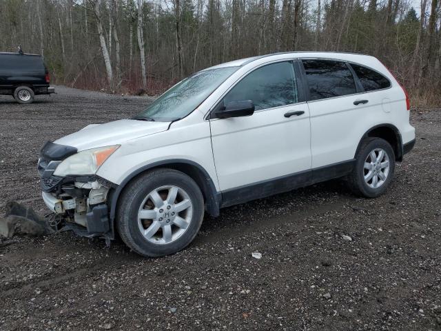 Vin: 5j6re4h30bl810917, lot: 73160423, honda crv lx 2011 img_1