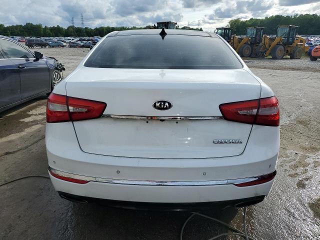 2014 Kia Cadenza Premium VIN: KNALN4D79E5127026 Lot: 52841434