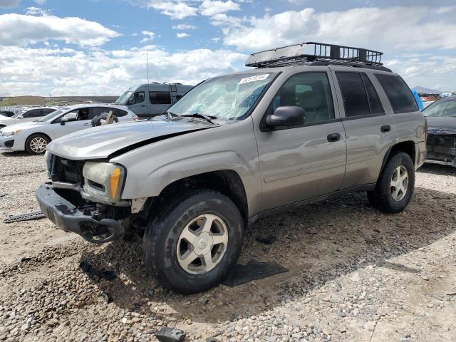 2006 Chevrolet Trailblazer Ls VIN: 1GNDT13S362254219 Lot: 52579204