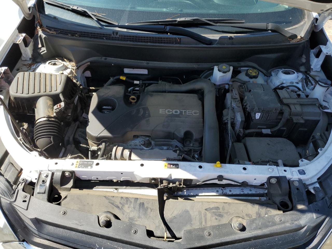 2GNAXUEV6K6163491 2019 Chevrolet Equinox Lt