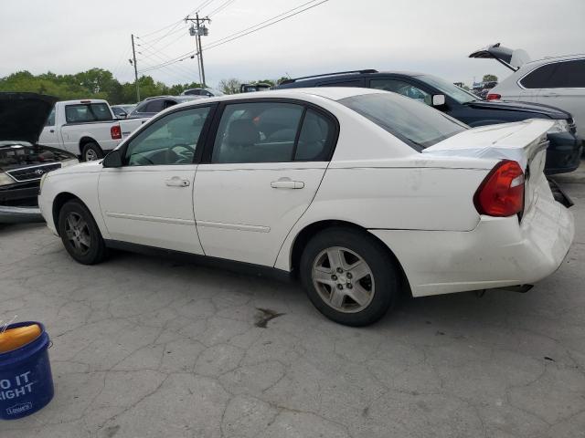 2005 Chevrolet Malibu Ls VIN: 1G1ZT52845F299780 Lot: 52543634