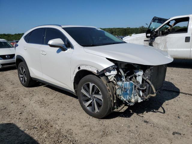 2021 Lexus Nx 300 Base VIN: JTJGARBZXM5021889 Lot: 51828544