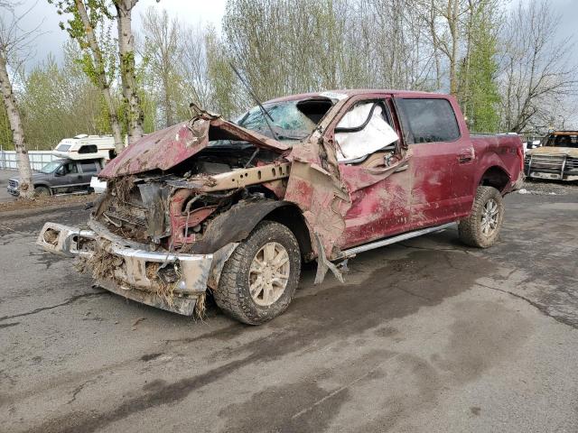 2017 Ford F150 Supercrew VIN: 1FTEW1EG6HKD49440 Lot: 49608524