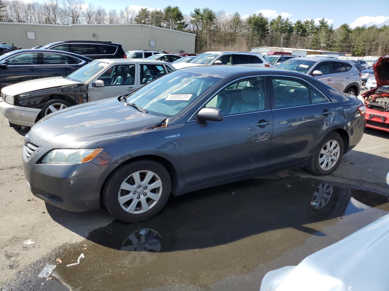 4T1BB46K09U096698 2009 Toyota Camry Hybrid