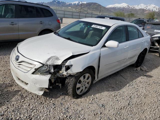 Lot #2522316135 2010 TOYOTA CAMRY BASE salvage car