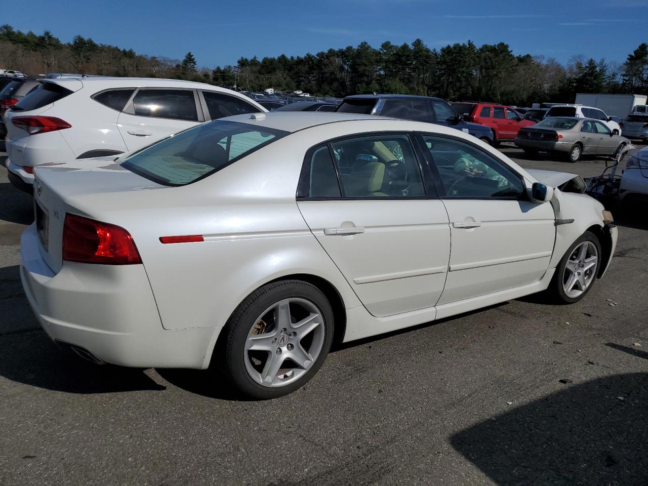 19UUA662X6A059510 2006 Acura 3.2Tl