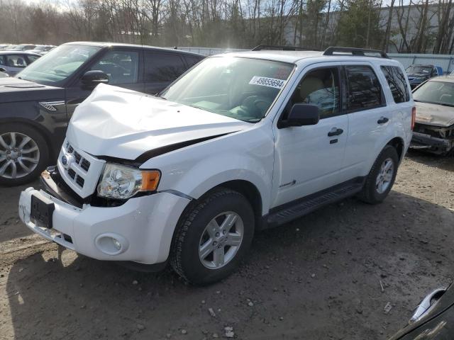 Lot #2522013876 2010 FORD ESCAPE HYB salvage car