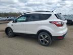 FORD ESCAPE SEL photo