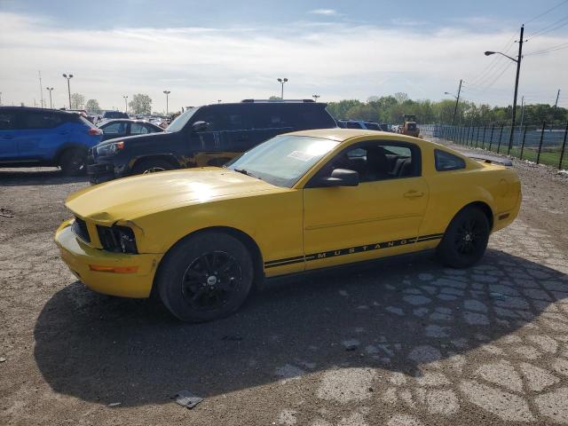 2006 Ford Mustang VIN: 1ZVFT80N065165941 Lot: 53005724