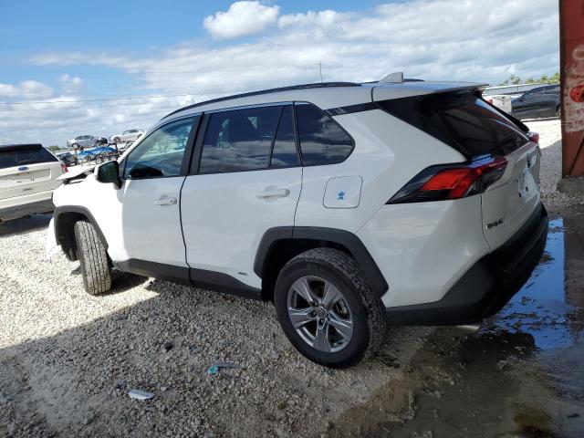 2023 TOYOTA RAV4 XLE - 4T3RWRFV7PU099855