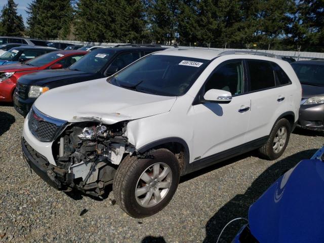 2013 Kia Sorento Lx VIN: 5XYKTDA22DG338393 Lot: 48679354