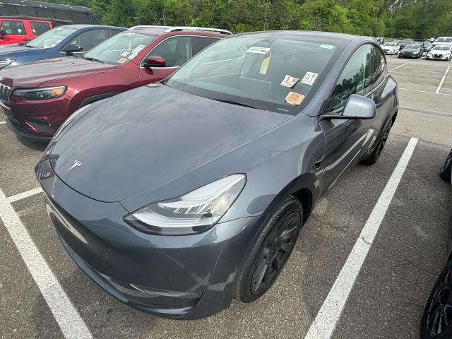 2022 Tesla Model Y VIN: 7SAYGDEE6NF481572 Lot: 51867834