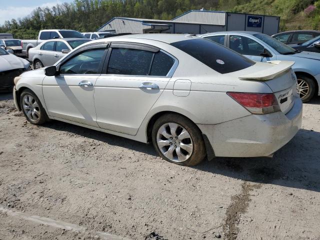 2008 Honda Accord Exl VIN: 1HGCP36888A068951 Lot: 50900134