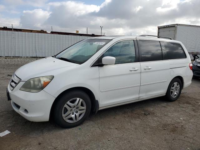 2007 Honda Odyssey Exl VIN: 5FNRL38737B090239 Lot: 51924314