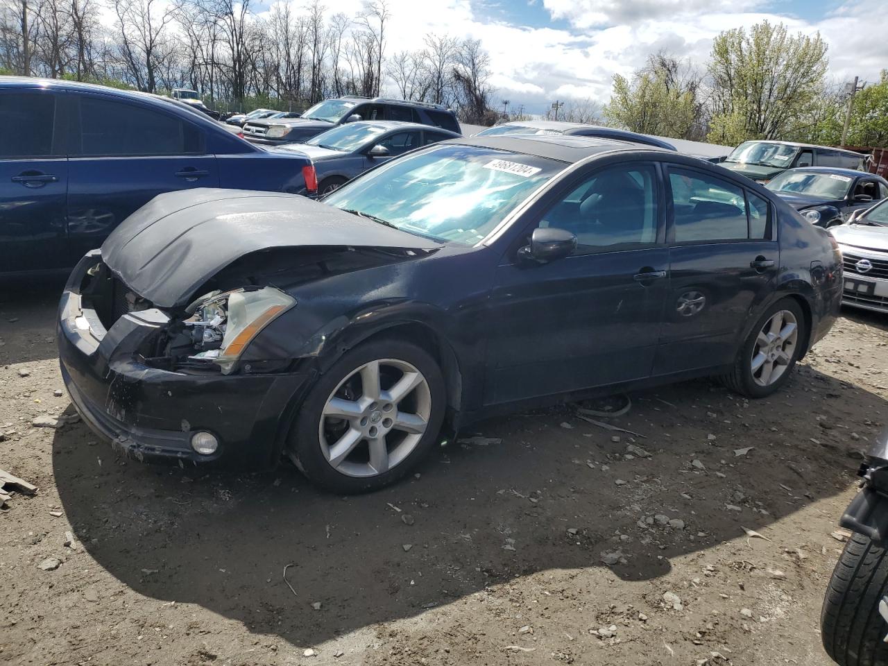 1N4BA41E96C818668 2006 Nissan Maxima Se