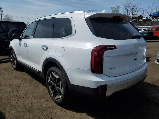 2024 Kia Telluride S VIN: 5XYP6DGC3RG485178 Lot: 50832344