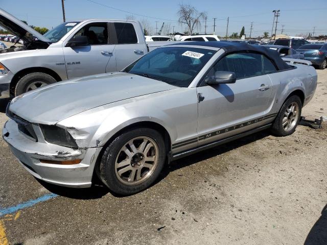 Lot #2452770413 2005 FORD MUSTANG salvage car
