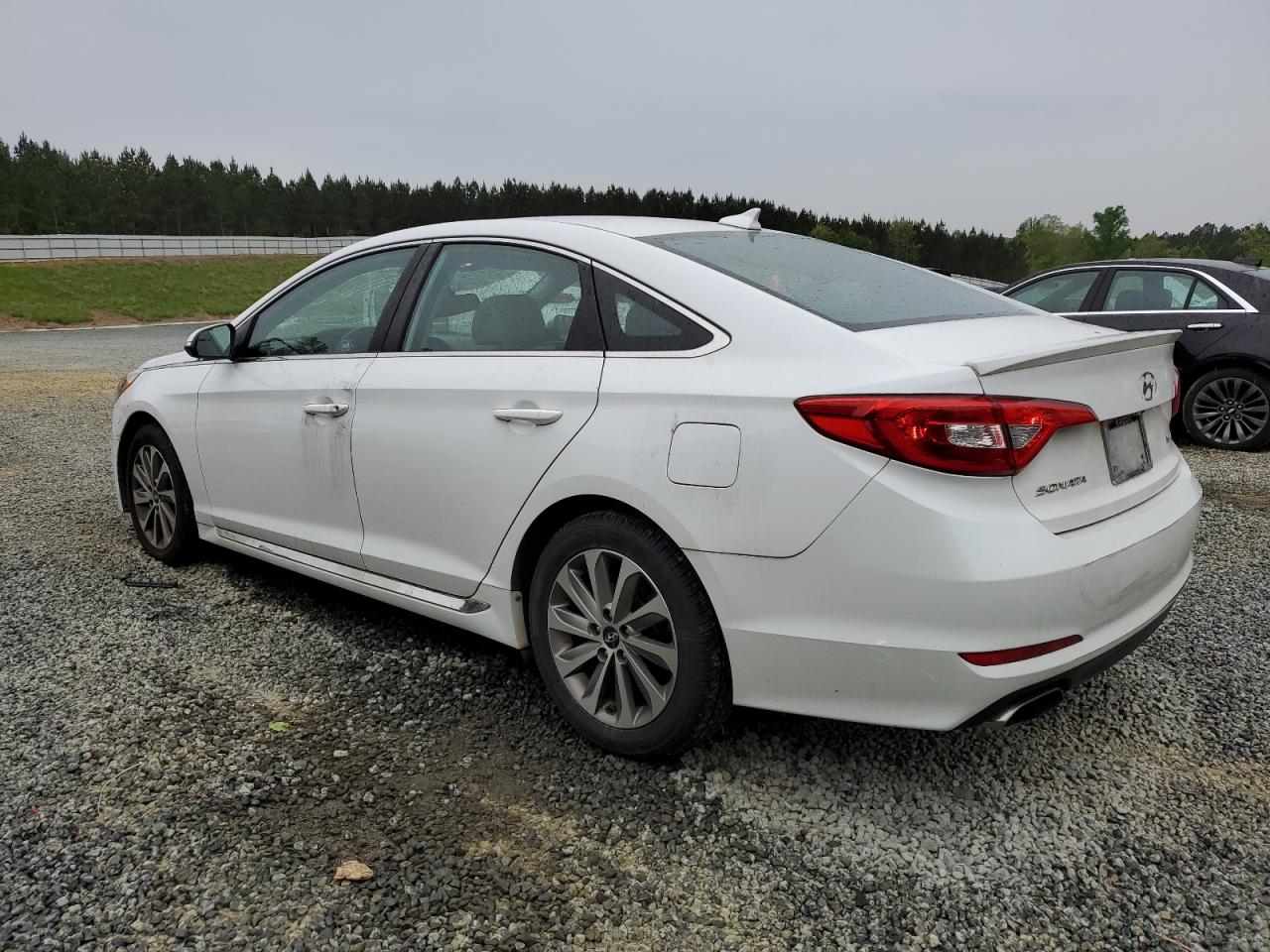 5NPE34AF5FH101554 2015 Hyundai Sonata Sport