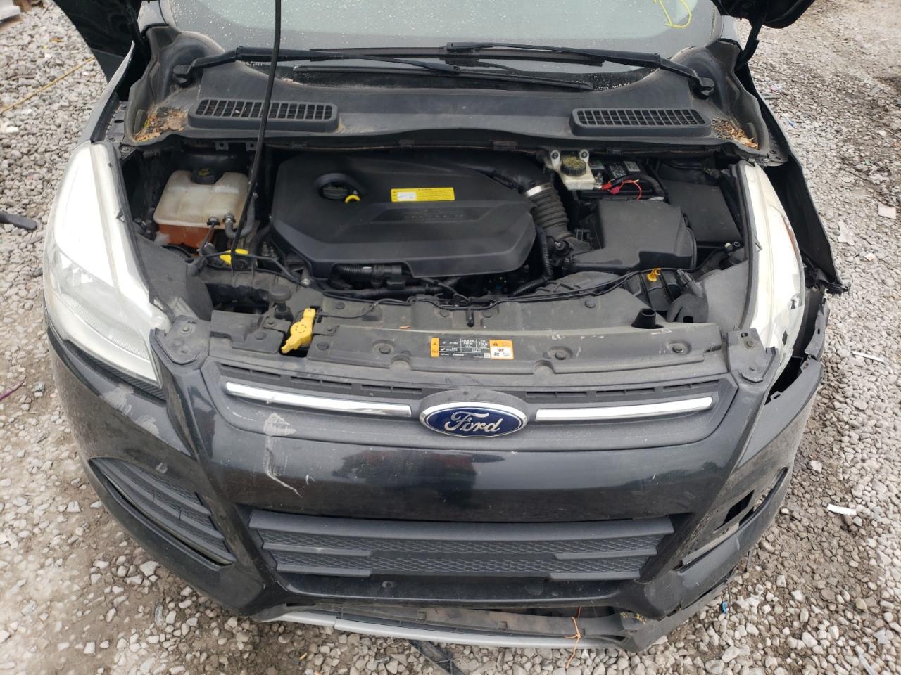 1FMCU0GX3EUA34725 2014 Ford Escape Se