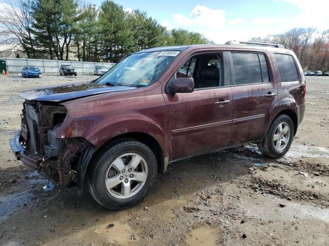 Lot #2457534151 2009 HONDA PILOT EXL salvage car