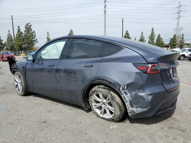 2023 Tesla Model Y VIN: 7SAYGDEE3PA117500 Lot: 51405704