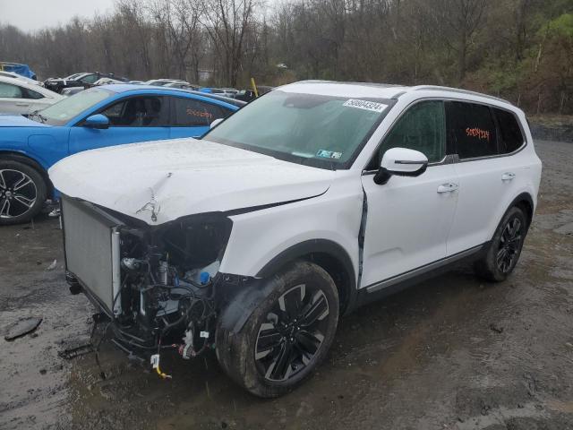 2024 Kia Telluride Sx VIN: 5XYP5DGC5RG461323 Lot: 50804324