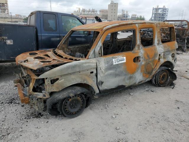 Lot #2518391028 2006 HONDA ELEMENT LX salvage car