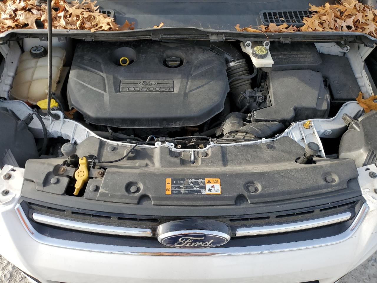 1FMCU9H98DUC04161 2013 Ford Escape Sel