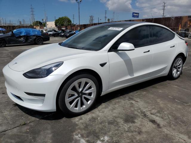 2023 Tesla Model 3 VIN: 5YJ3E1EA1PF582952 Lot: 50823284