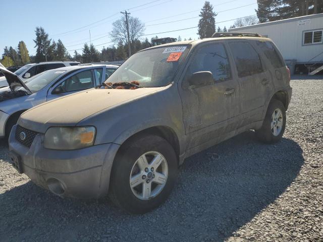 Lot #2540466571 2007 FORD ESCAPE HEV salvage car