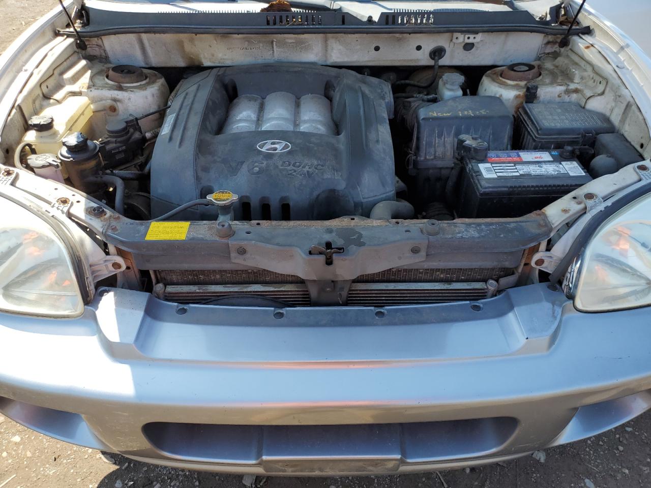 KM8SC73D43U364728 2003 Hyundai Santa Fe Gls