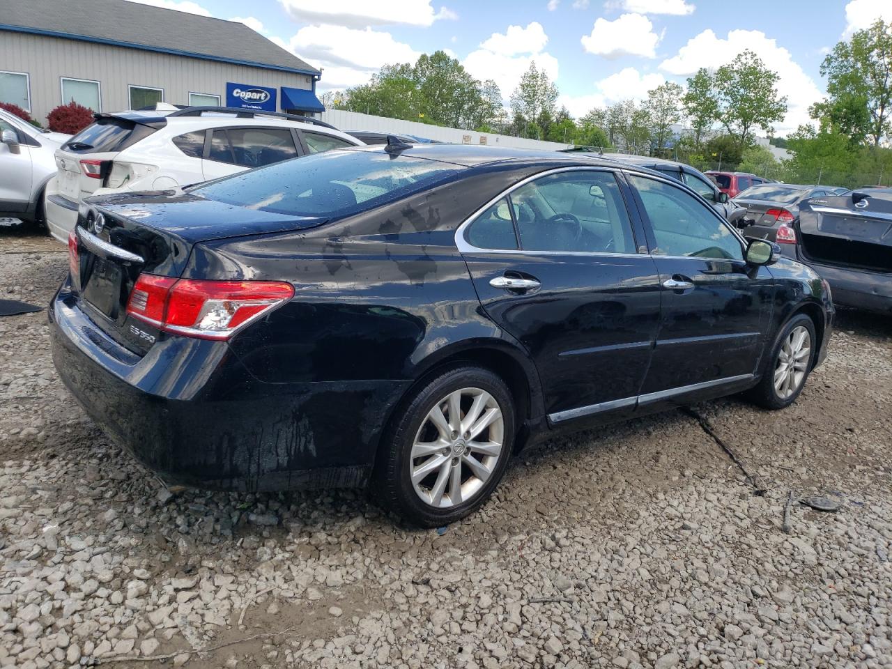 Lot #2741573355 2011 LEXUS ES 350