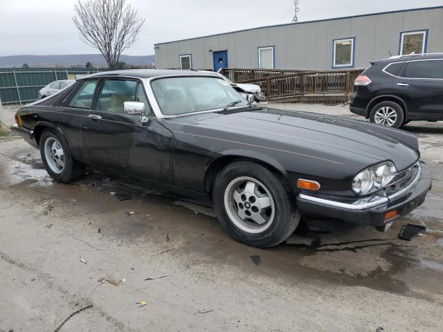 1983 Jaguar Xjs VIN: SAJNV5849DC111065 Lot: 51325844