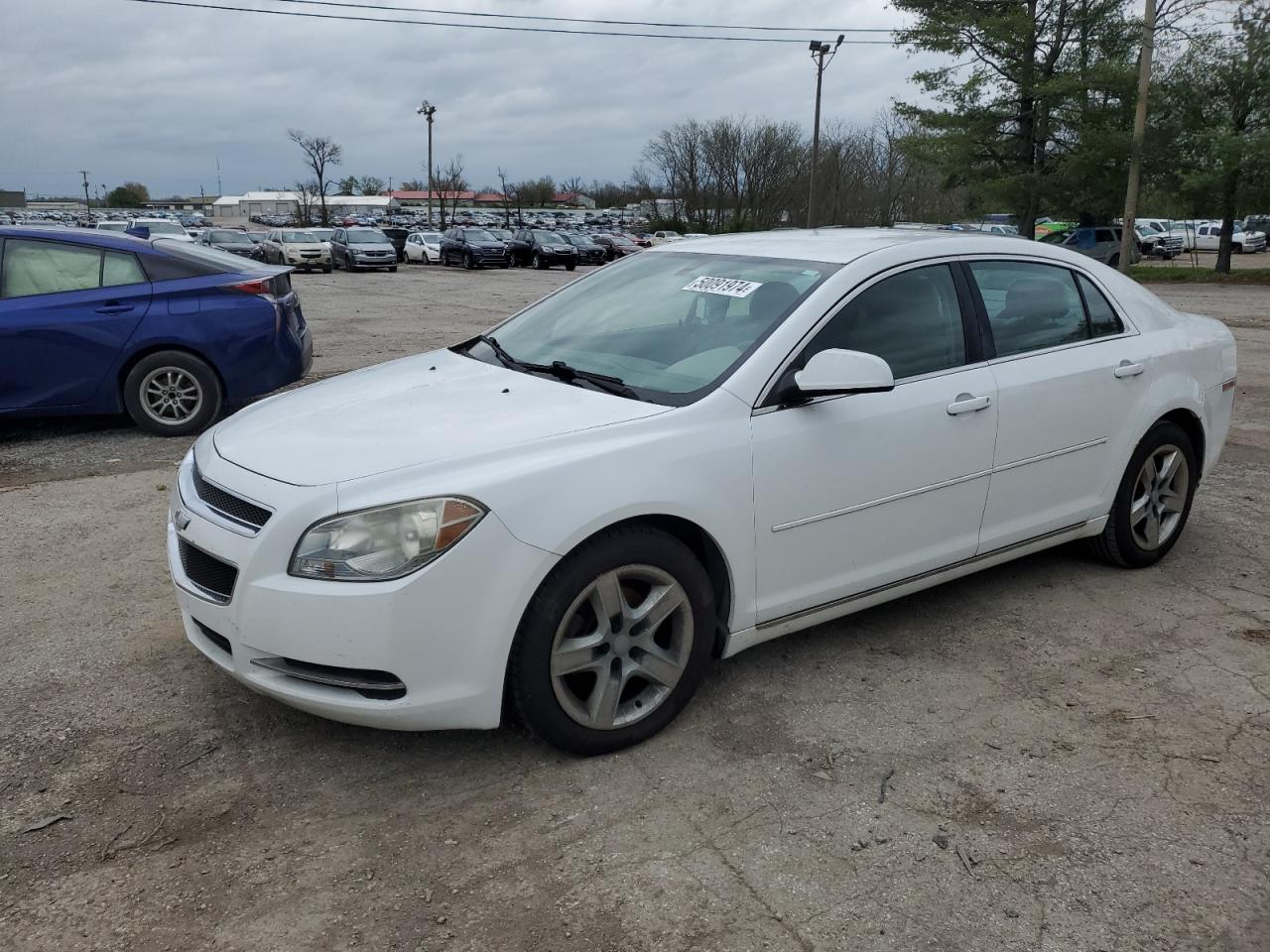 1G1ZC5E06AF167877 2010 Chevrolet Malibu 1Lt
