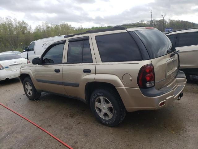 2005 Chevrolet Trailblazer Ls VIN: 1GNDT13S252349241 Lot: 50672224