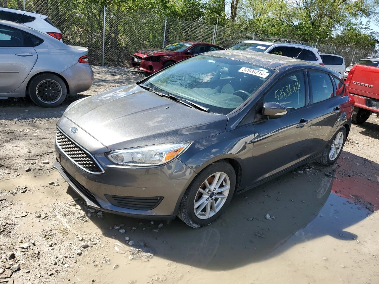 Lot #2503624028 2016 FORD FOCUS SE