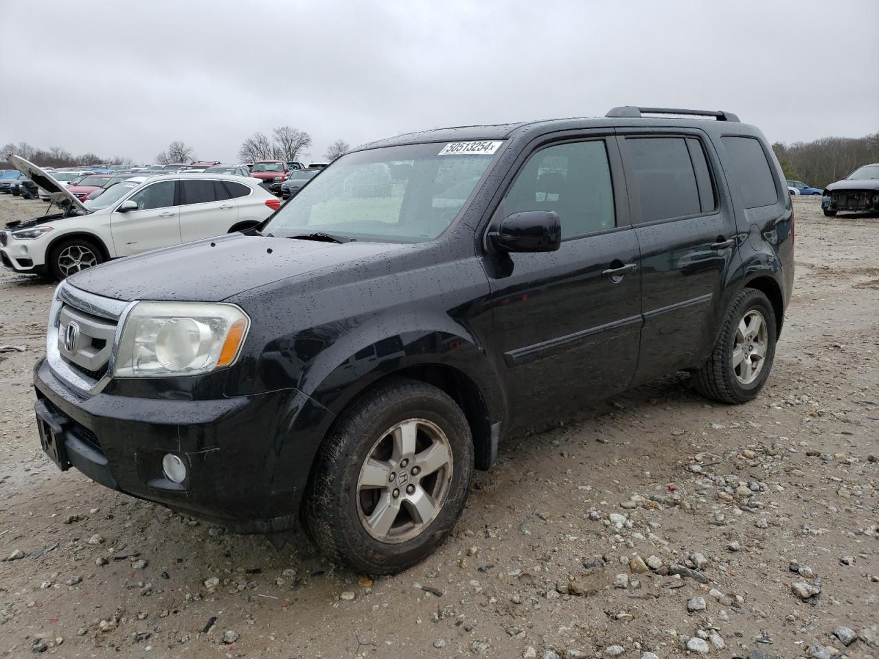 5FNYF485X9B045566 2009 Honda Pilot Exl