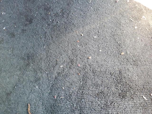 2011 Chevrolet Impala Lt VIN: 2G1WG5EK4B1301562 Lot: 51733654