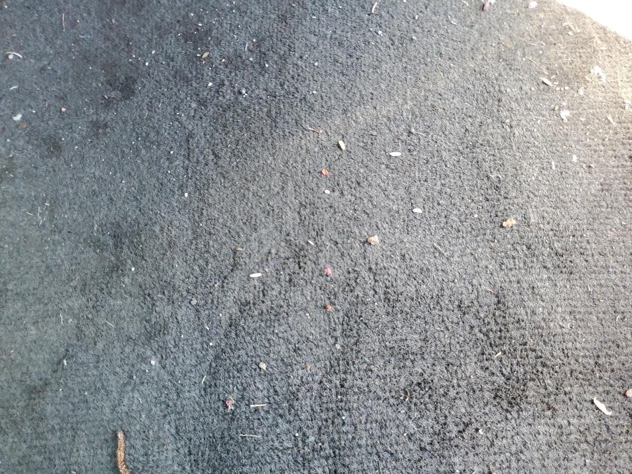 2G1WG5EK4B1301562 2011 Chevrolet Impala Lt