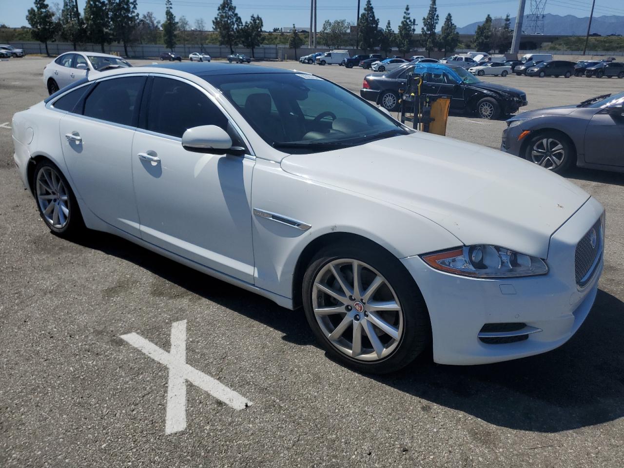 2014 Jaguar Xj vin: SAJWJ1CD6E8V58974