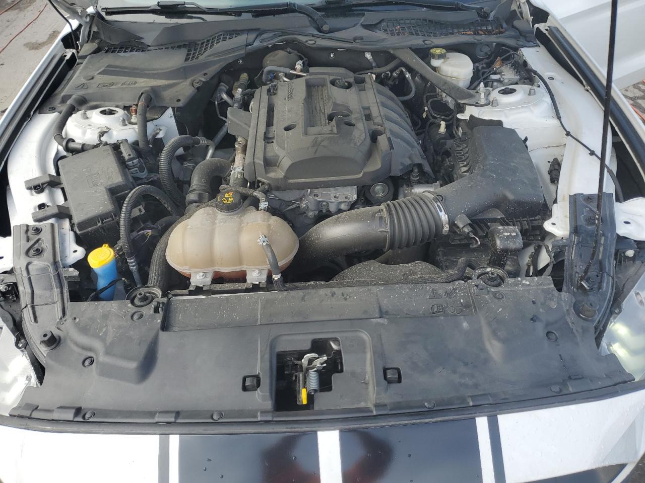 1FATP8UH3K5179475 2019 Ford Mustang