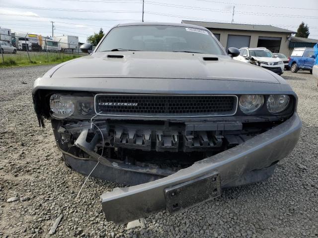 2012 Dodge Challenger Sxt VIN: 2C3CDYAG5CH174212 Lot: 50363824