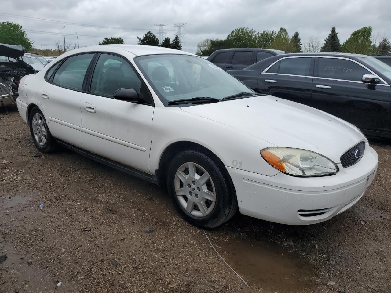 Lot #2964332252 2007 FORD TAURUS SE