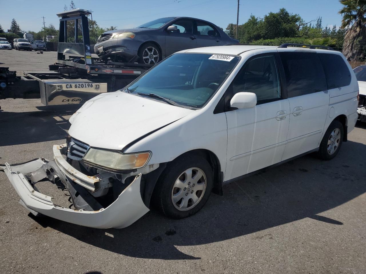 5FNRL18054B060534 2004 Honda Odyssey Exl