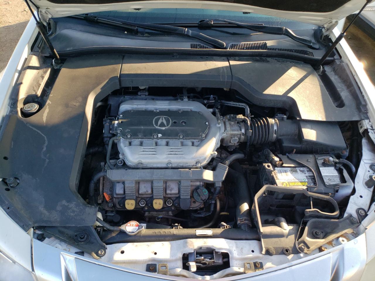 19UUA8F51AA006368 2010 Acura Tl