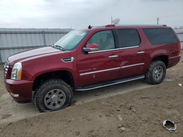 Lot #2536146890 2011 CADILLAC ESCALADE E salvage car