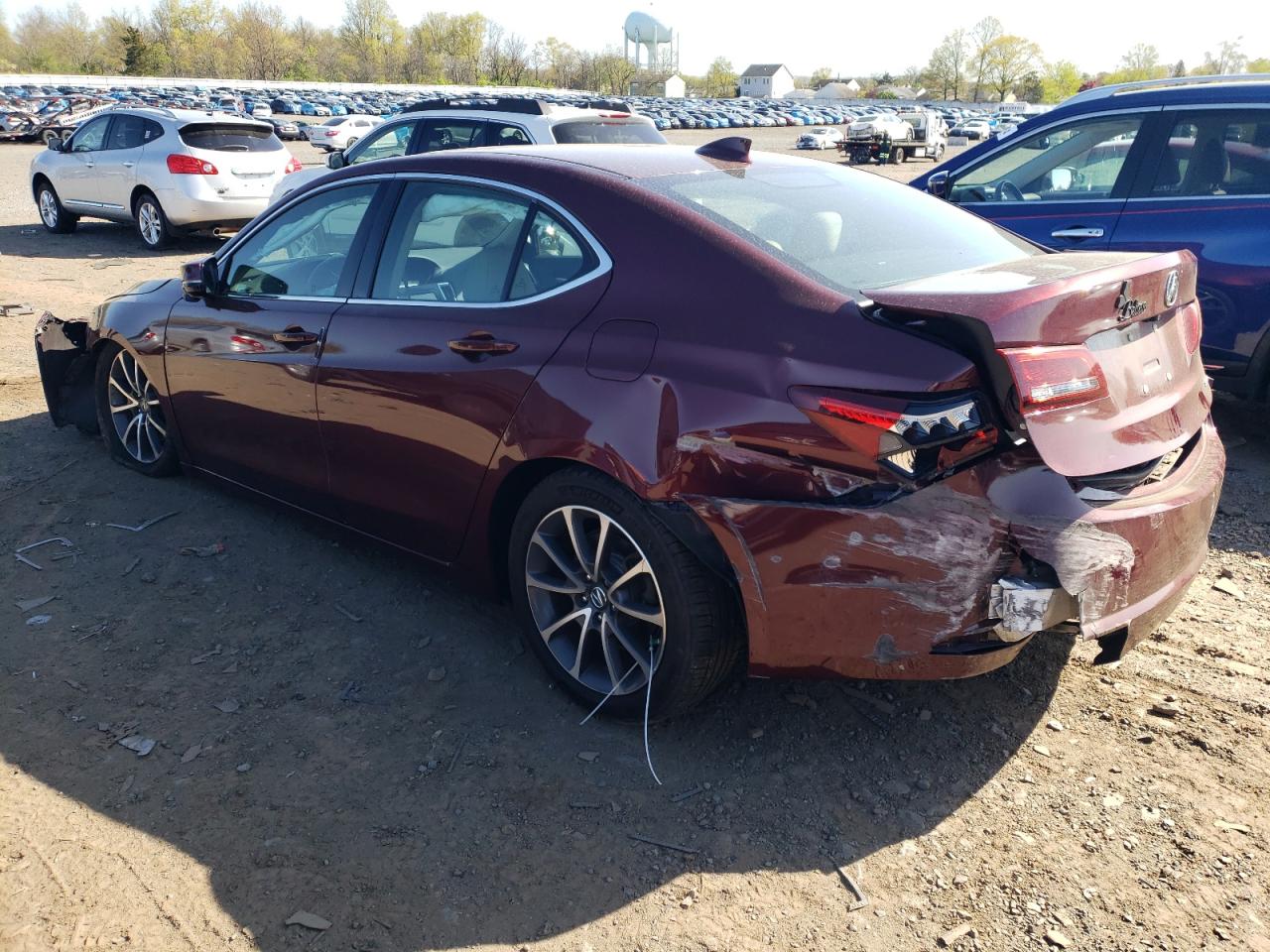 19UUB3F52FA010470 2015 Acura Tlx Tech